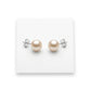 Shell Pearls Earrings - 925 Silver