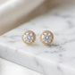 Round Studded Zirconia Stud Earrings - 18K Gold Plated